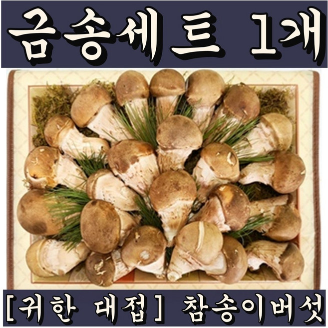금송세트 1kg 참송이버섯 주문시수확 구정 명절 부모님 장모님 처가 시댁 선물, 1세트