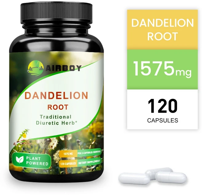 민들레 뿌리 1575mg - 전통 이뇨제 - 간 건강 지원 및 피부 건강 증진 - 120캡슐, 1개, 120정 - 쿠팡