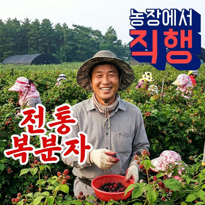 더맛곳간 국내산 고창 복분자 열매 냉동 토종복분자 농가직송, 1개, 2.5kg 특품