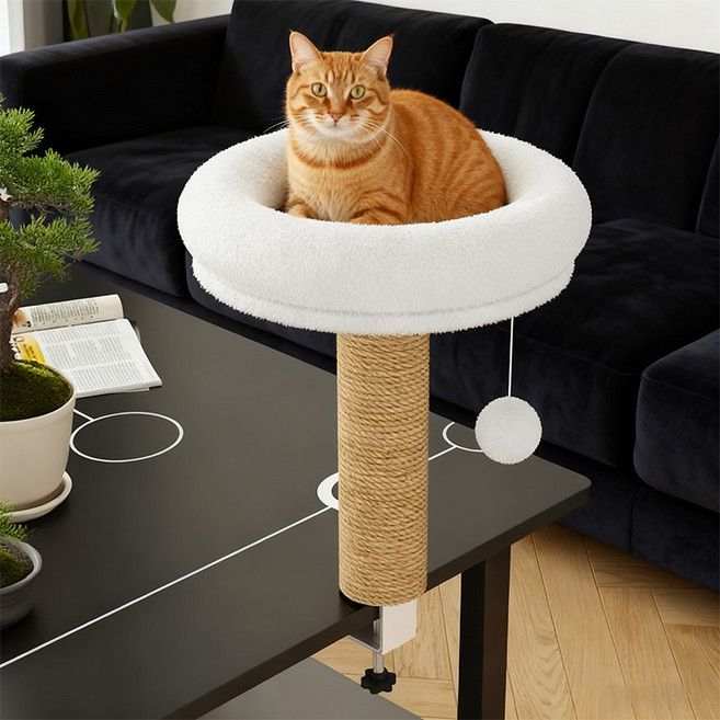 CYLIFE 고양이 책상 해먹 스크레쳐 의자 방석 책상 캣타워 해먹 이동식 바구니 책장 선반, 1개, 화이트