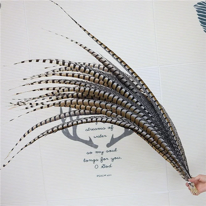 10-110cm 10/50개/묶음 천연 레이디 암허스트 꿩 중앙 꼬리 깃털 공예 장식 DIY 무대 공연 카니발용, 02 10 pieces, 12 100-110cm