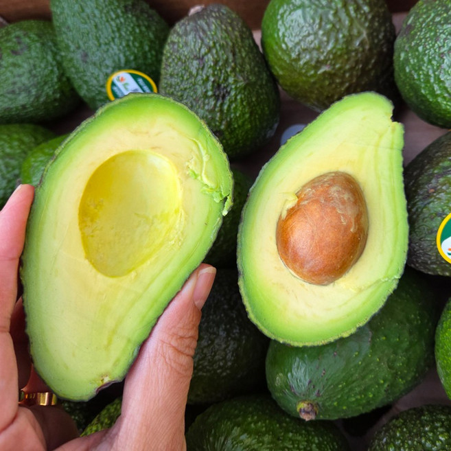 과육이 풍부한 아보카도 10개, 230g(특대과)