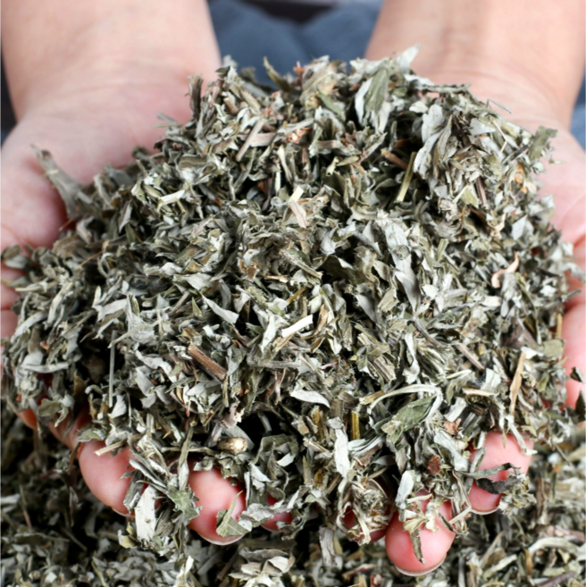 국내산 약쑥 말린 애엽 쑥차, 1개, 500g