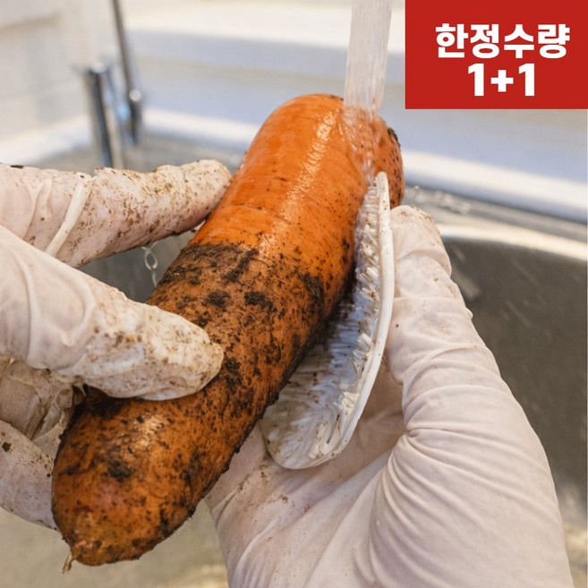 [무타공 후크걸이 증정]엘뉴본 야채 브러쉬 다용도 세척솔, 1개, 엘뉴본 퓨어화이트