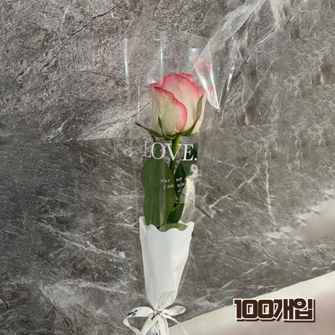 홈앤힐링 봉투형 꽃포장지 투명 꽃 포장봉투 대용량, 100개