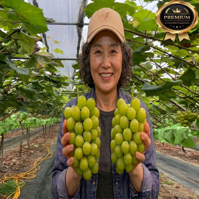 [누적판매 1위] 산지직송 프리미엄 고당도 샤인머스켓, 1박스, 2kg