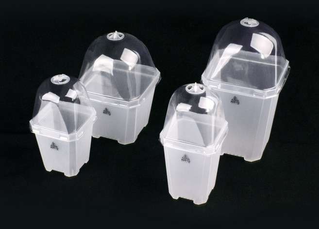 투명 삽목 플분 6종 사각 모종 플라스틱 가벼운 화분, 삽목 투명 플분 1호