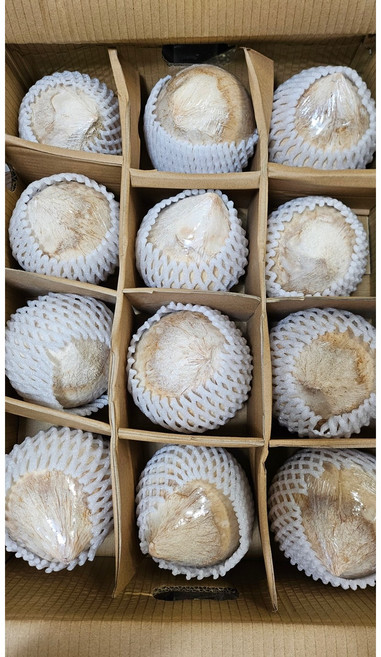 [프리미엄등급] 호아마이 베트남 그린 생코코넛 1 box, 1박스, 탑코코넛 (12~15과)