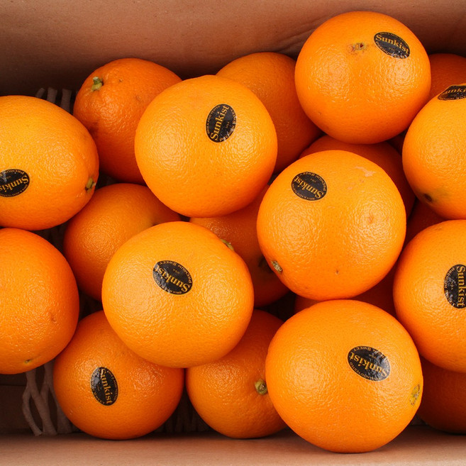 썬키스트 블랙라벨 고당도 오렌지 72과 88과