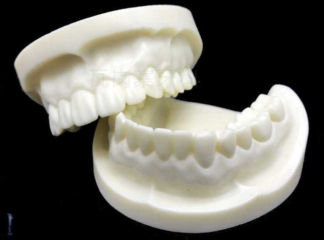 치아모델 틀니 모형 치과 양치 교육 칫솔질 병원, 흰색 한 쌍(위턱과 아래턱)