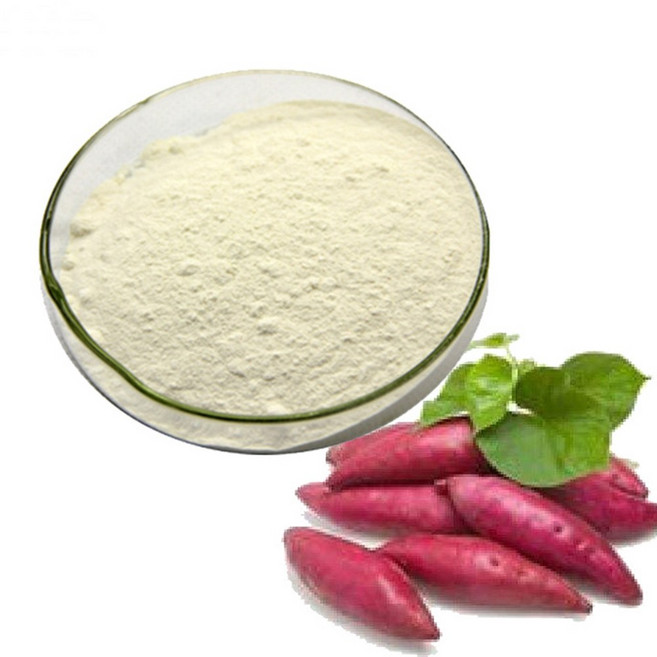 고구마농축분말 100g 샘플, 1개