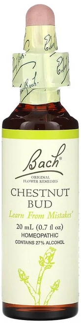 Bach 오리지널 꽃 요법 가시칠엽수 20ml(0.7fl oz) BAC-20471, 1개, 20ml - 쿠팡