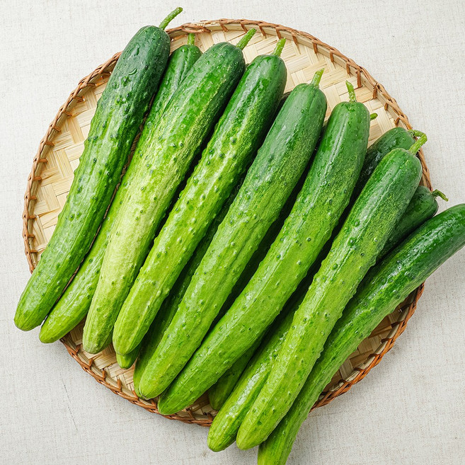 백다다기오이 백오이 오이지, 백다다기오이 25개