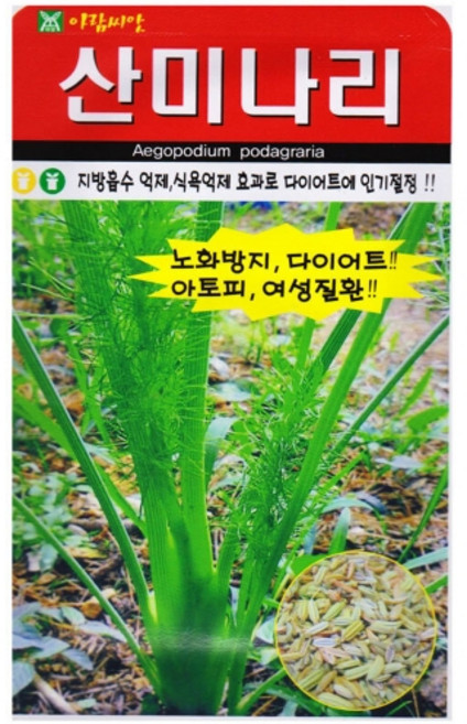 영농사 산미나리 씨앗 400립 다년생 미나리씨, 1개