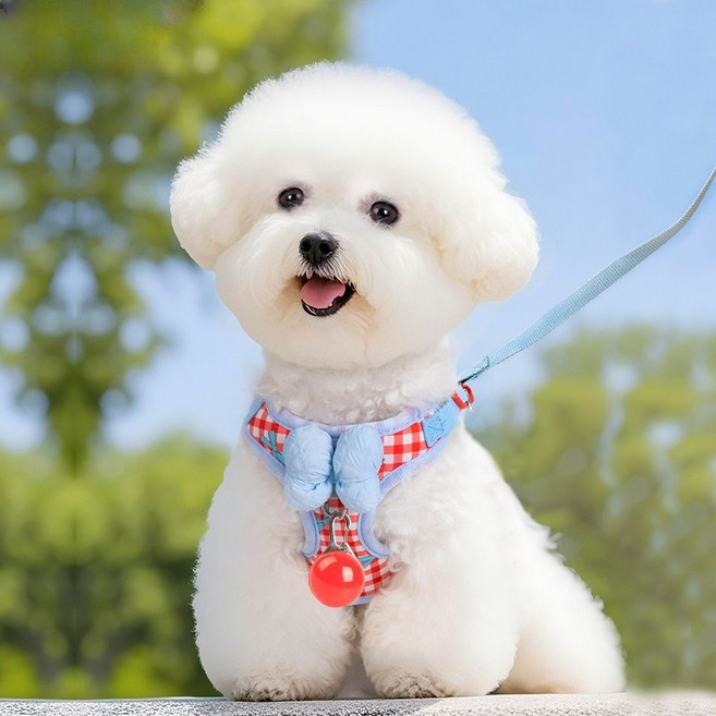 소형견 통기성 하네스 목줄 세트 방풀벙 방지 야외산책용, 1개, 붉은색