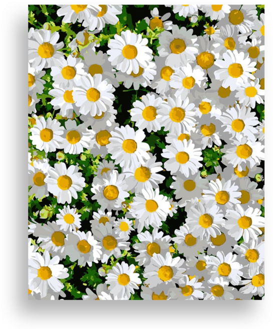 위메이크 페인팅 DIY 명화그리기 세트 데이지 40x50, 1개