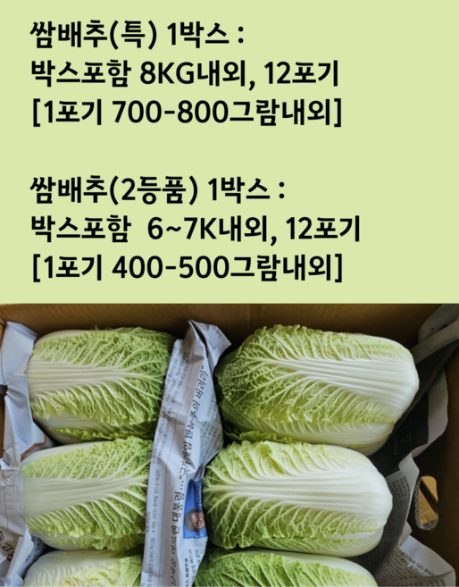 [임가네농산] 배추 알배추 쌈배추 국내산 알배기 배추, 1개, 6.5kg