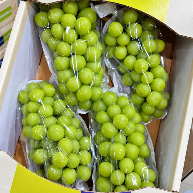 사과식감 프리미엄 고당도 샤인머스켓, 1박스, 2kg (5~6수)