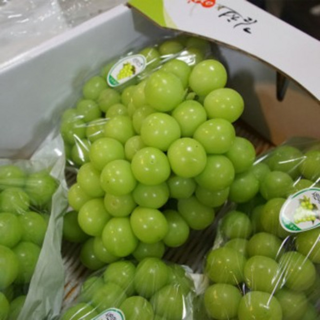 [부자농산] 고당도 프리미엄 샤인머스켓 망고포도 상주 김천 영천 경산 영동 안성 선물 세트, 특등급 샤인머스켓 800-900g(1-2송이), 1개