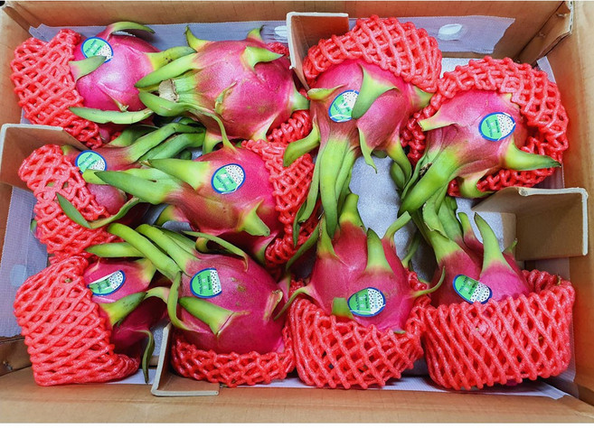 더노랑 흰용과, 1박스, 5kg