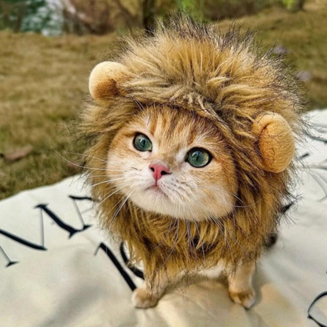 WarmPaws 반려동물 귀염뽀짝 동물모자 고양이모자 강아지모자 코믹 모자 할로윈 사자 변장, 1개, 갈색