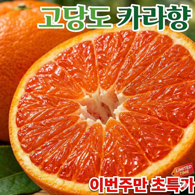 [재구매1위] 평균15BRIX 새콤달콤 제주 카라향, 1박스, 10kg