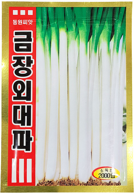 영농사 대파 씨앗 키우기 7종 재배 키트, 2세트