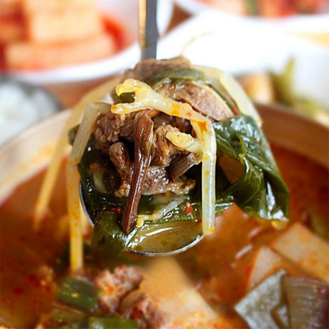 대구 국밥맛집 백암골 한우 소고기국밥, 500g, 8개