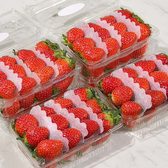 [산지직송] 고당도 설향 딸기 프리미엄 생 딸기, 1개, 딸기 (특대) 2kg(4팩)