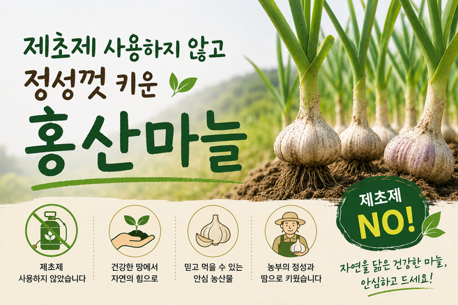 3위 - (26년햇마늘 산지직송) NO제초제인증 국산 홍산마늘 대 직접농사 1kg 3kg 5kg, 1박스, 대 5kg