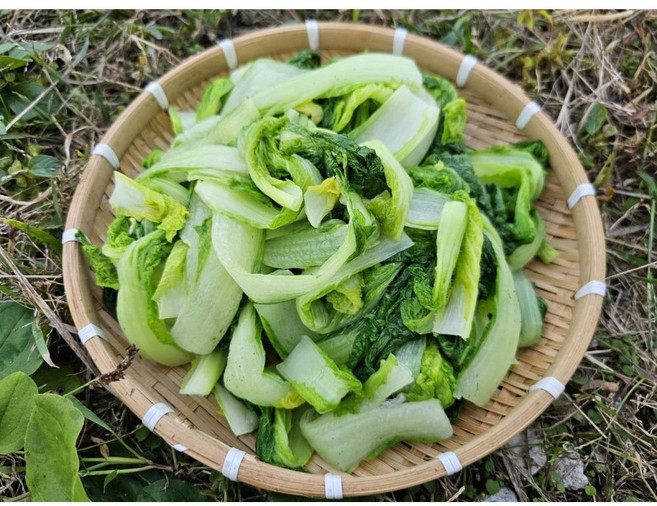 정품 얼갈이로 직접 손질해서 데친~얼갈이우거지 [원산지:국산(충청남도 부여군)], 1kg, 1개
