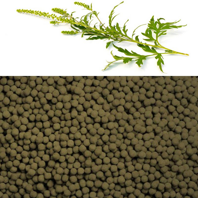 청명 개똥쑥환(국내산 500g), 500g, 1개