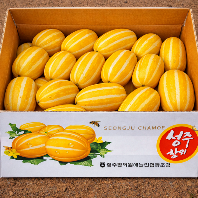 한정특가 제철 초고당도 꿀 성주참외, 1박스, 5kg