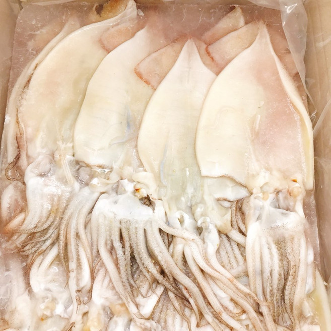 국내산 할복오징어 무탈피 4kg 약15마리내외 냉동 자연산 손질오징어, 1