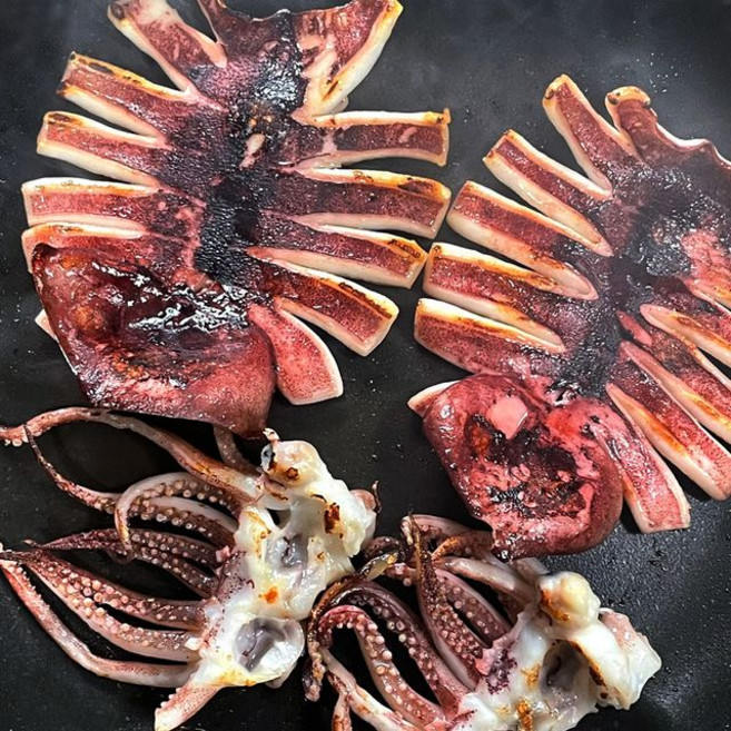 반건조 오징어, 5미 550g, 1개