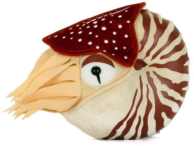 앵무조개 노틸러스 Nautilus 고대 생물 동물 모형 19cm 봉제 인형 애착인형, 브라운, 1개