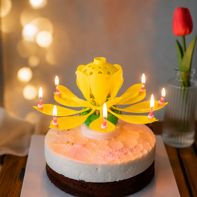 모던데이 멜로디 연꽃초 생일축하 폭탄초, 1개, 옐로우