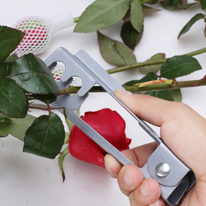꽃 가시 제거기 장미 꽃다발 잔 가지 식물 줄기 자르기 컷팅 손질 관리 실리콘 패드, 가시제거기(초록), 1개