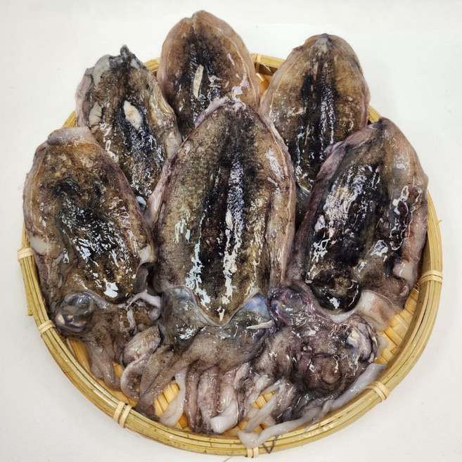 수산잇츠 갑오징어 6미, 1개, 약500g