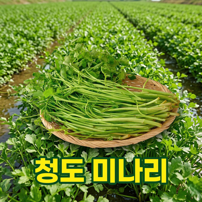 [특품] 아삭향긋 삼겹살창떡궁합 세척 청도미나리, 1개, 200g