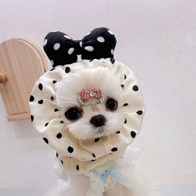 [당일출고] 긴털 반려동물 머리밴드 강아지 헤어밴드 머리띠 모자, 화이트, 1개