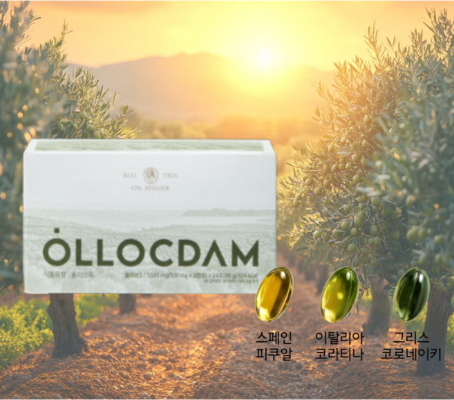 올리브3 스페인+이탈리아+그리스 엑스트라버진 올리브오일 3종 EVOO 캡슐, 1개, 24회분