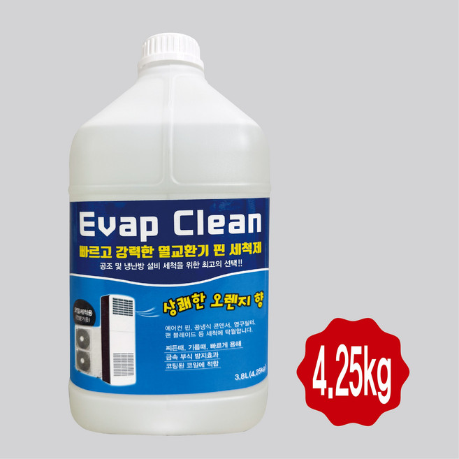 에바클린 에어컨 세척제 전문가용 곰팡이제거 특화, 1개, 3.8L