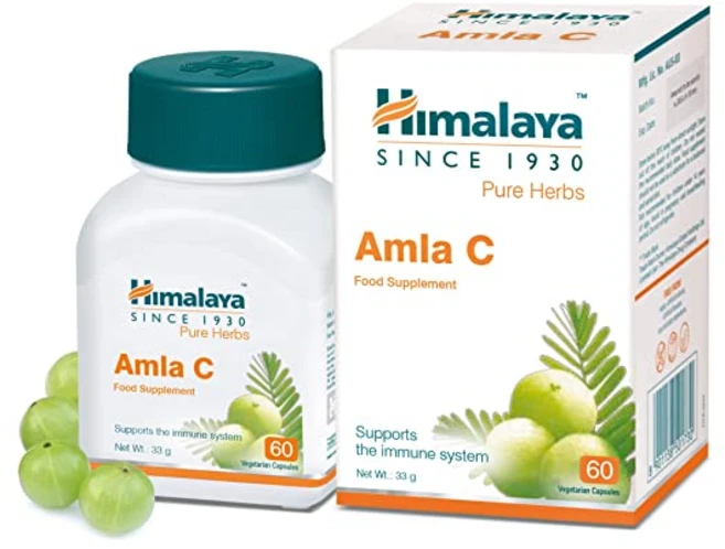 히말라야 웰니스 퓨어 허브 아말라키 면역 웰니스 |건강 증진 | -60정 팩, 60정, 6개 - 쿠팡