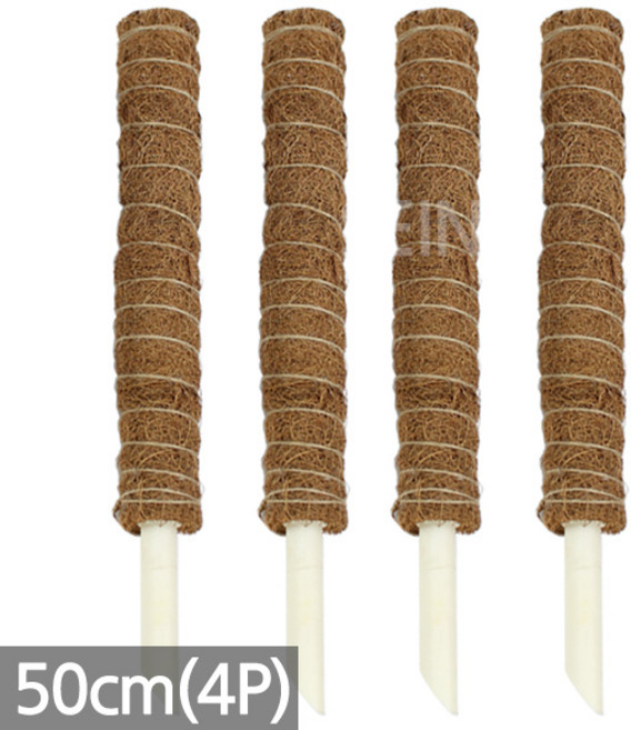 세인화분 연결형 코코넛 수태봉 지지대 지주대 코코봉 연결형 식물 화분 심지 연결구 몬스테라 덩쿨 화분갈이 분갈이 코코넛봉 수태, 03_50cm 코코넛 수태봉(4P)