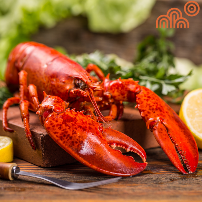 수산서원 호텔납품 캐나다 현지 급냉 프리미엄 자숙랍스터 1마리(마리당 450~500g) 홈파티팩, 1개, 450~500g