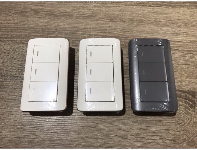 Panasonic 國際牌 RISNA系列 一開關 兩開關 三開關 附蓋板 RISNA 開關 1切 2切 3切, 1個