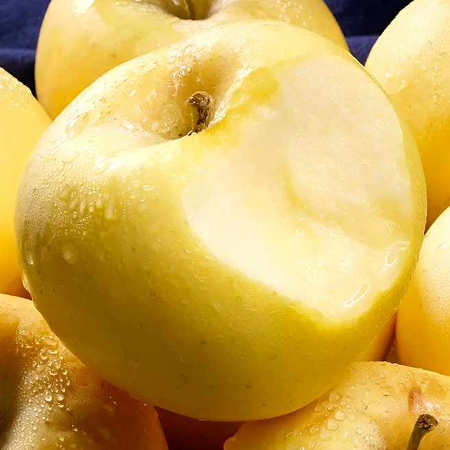 [꿀브릭스] 재주문율1위 시나노 골드 사과, 1박스, 10kg