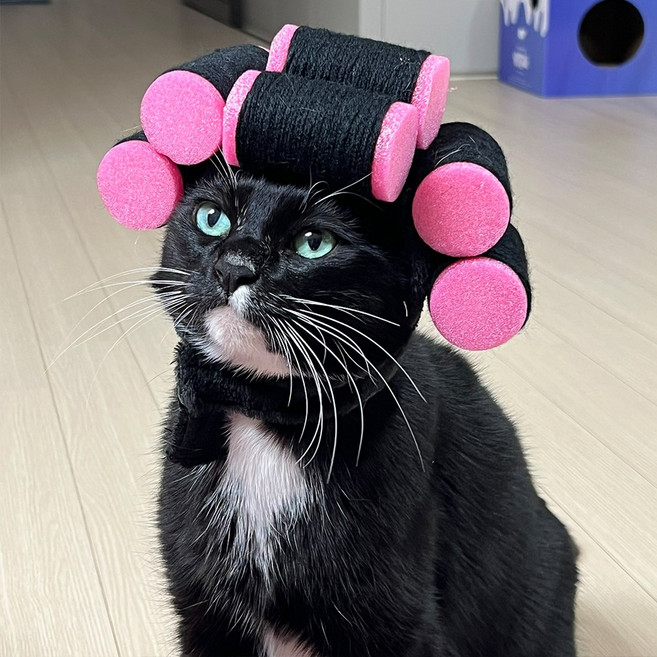 이지유 펫 코스튬 헤어롤 고데기 모자 강아지 고양이 뽀글이 가발 파마머리, 1개, 단일