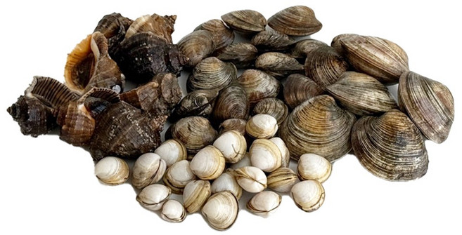 두팜 모듬조개 대박세트 2kg 1~2인분 내외, 1개